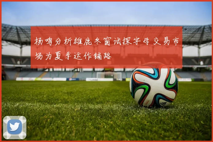 杨鸣分析雄鹿冬窗试探字母交易市场为夏季运作铺路