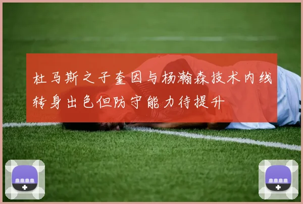杜马斯之子奎因与杨瀚森技术内线转身出色但防守能力待提升